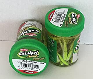 Gulp! Alive! Gulp Bait 1 INCH Chartreuse SHAD Minnow 2 jar Bundle Berkley Perch Minnows ice Fishing Bait Panfish Minnows