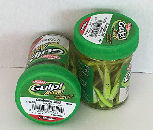 Gulp! Alive! Gulp Bait 1 INCH Chartreuse SHAD Minnow 2 jar Bundle Berkley Perch Minnows ice Fishing Bait Panfish Minnows