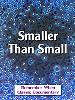 Smaller Than Small