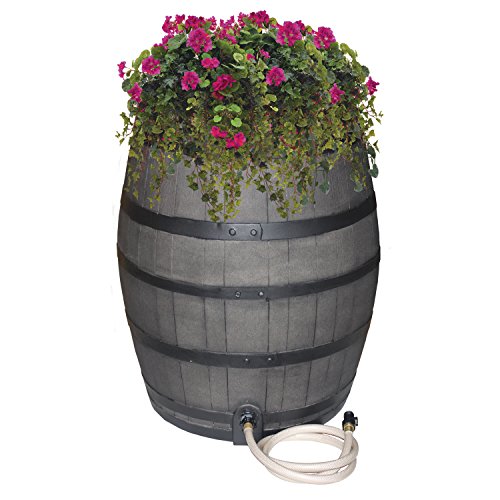 10 Best Rain Barrel For Drinking Water