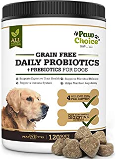 Paw Choice Grain Free Probiotics for Dogs with Prebiotics, Digestive Enzymes - 120 All Natural Chews for Healthy Gut, Digestion, Immune System, Diarrhea Relief - Made in USA - Peanut Butter Flavor