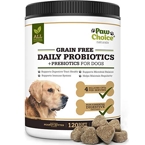 Paw Choice Grain Free Probiotics for Dogs with Prebiotics, Digestive Enzymes - 120 All Natural Chews for Healthy Gut, Digestion, Immune System, Diarrhea Relief - Made in USA - Peanut Butter Flavor