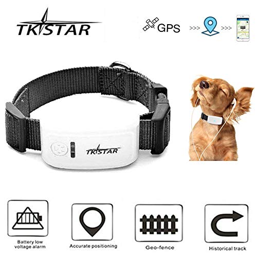 5 Best Gps Dog Collar No Monthly Fee