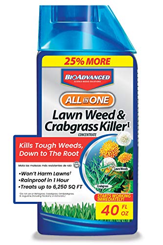 BioAdvanced 704140 All-in-One Lawn Weed and Crabgrass Killer Garden Herbicide, 32 oz, Concentrate