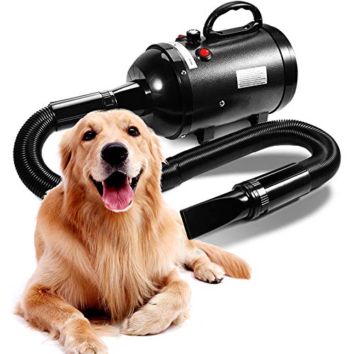 AIIYME Dog Dryer, 3200W/4.3HP Motor Stepless Adjustable Speed Dog Hair Dryer Pet Dog Grooming Dryer Blower with Adjustable Temperature (35°C-70°C), Professional High Velocity Air Forced Dryer for Dogs