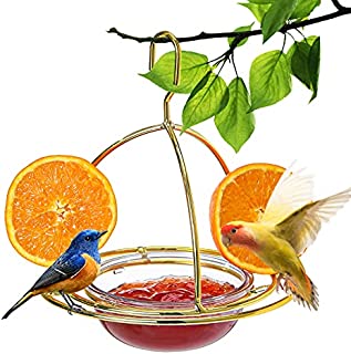 Hanizi Metal Hanging Oriole Bird Feeder with Fruit Holder Removable Drink Plasic for Garden Patio Outside