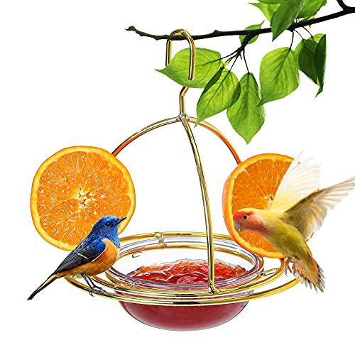 Hanizi Metal Hanging Oriole Bird Feeder with Fruit Holder Removable Drink Plasic for Garden Patio Outside