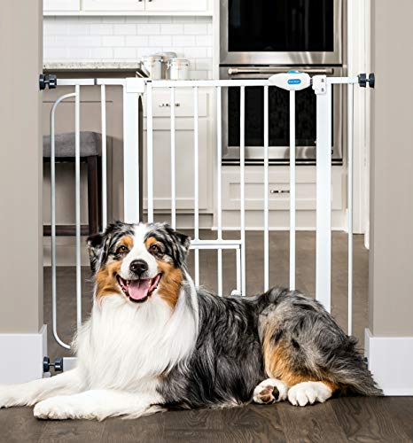 10 Best Dog Gates For Stairs