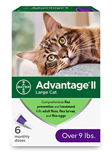 10 Best Flea And Tick Killer For Cats