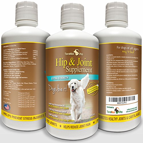 10 Best Glucosamine For Dogs With Hip Dysplasia