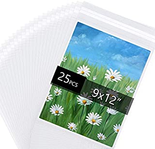 Acid Free 1.496mil (Single Side) Crystal Sealed Clear Bags for 9x12 Art Prints, Photos, 9 3/8 Inches by 12 2/5 Inches, 25-Pack