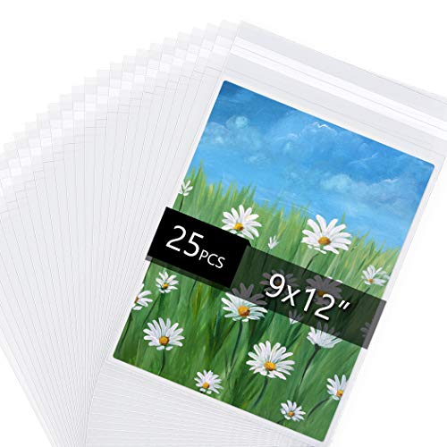 Acid Free 1.496mil (Single Side) Crystal Sealed Clear Bags for 9x12 Art Prints, Photos, 9 3/8 Inches by 12 2/5 Inches, 25-Pack