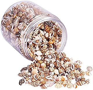 PandaHall Elite About 1400-1500 Pcs Tiny Sea Shell Ocean Beach Spiral Seashells Craft Charms Length 7-12mm for Candle Making, Home Decoration, Beach Theme Party Wedding Decor Fish Tank Vase Filler, NO HOLE