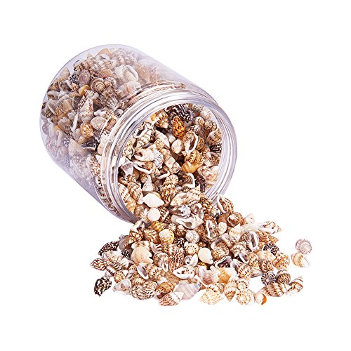 PandaHall Elite About 1400-1500 Pcs Tiny Sea Shell Ocean Beach Spiral Seashells Craft Charms Length 7-12mm for Candle Making, Home Decoration, Beach Theme Party Wedding Decor Fish Tank Vase Filler, NO HOLE