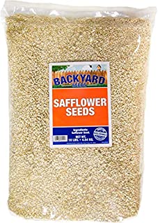 Backyard Seeds Safflower Bird Seed for Cardinals (10 Pounds)