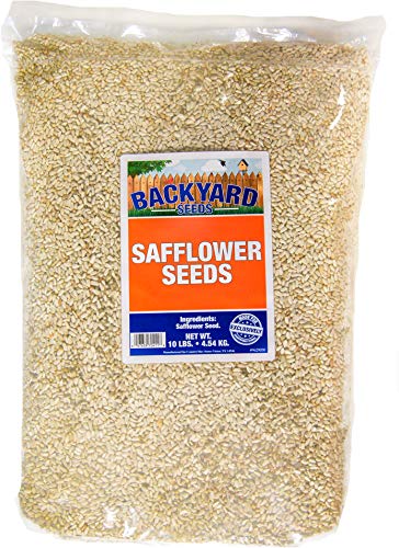 Backyard Seeds Safflower Bird Seed for Cardinals (10 Pounds)