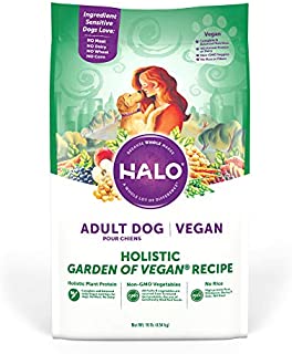 Halo Vegan Dry Dog Food - Premium and Holistic Garden of Vegan Recipe - 10 Pound Bag - Sustainably Sourced Adult Dry Dog Food - Non-GMO and Made in the USA