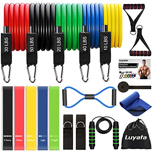 Resistance Bands, 19pcs Resistance Workout Bands Set Kit with 5 Stackable Exercise Bands 5 Resistance Loop Bands, Door Anchor, Ankle Straps,Jump Rope, Carry Bag, Exercise Towel