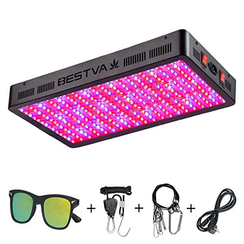 6 Best Led Grow Lights For Home Use