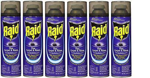 Raid Flea Killer Carpet and Room Spray, 16 OZ (Pack - 6)