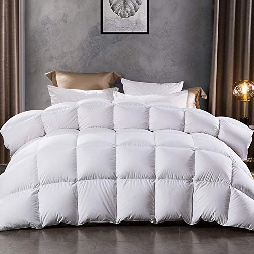 LESNNCIER Luxurious All Season Lightweight Goose Down Comforter Queen Size Duvet Insert 1200 Thread Count 750+ Fill Power 100% Cotton Shell Hypo-allergenic(Queen, White)