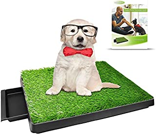 TUOKEOGO Dog Grass Pad with Tray, Puppy Potty Training Grass, Indoor Dog Potty with Training Guide-Medium Small Dog-25