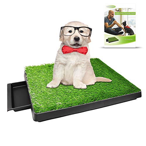 TUOKEOGO Dog Grass Pad with Tray, Puppy Potty Training Grass, Indoor Dog Potty with Training Guide-Medium Small Dog-25