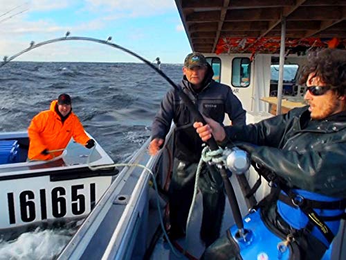 The Search for 1000-Pound Atlantic Bluefin- Nova Scotia