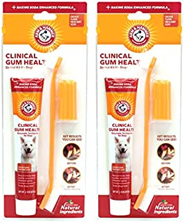 Arm & Hammer for Pets Dog Dental Care Fresh Breath Kit for Dogs