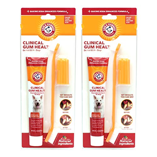 Arm & Hammer for Pets Dog Dental Care Fresh Breath Kit for Dogs