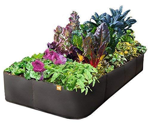 Victory 8 Raised Garden Bed 3 ft X 6 ft