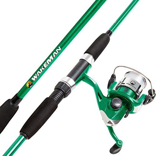 9 Best Minecraft Fishing Rod For Books