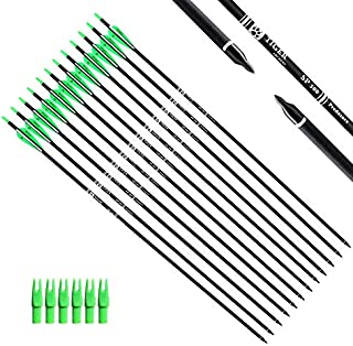 Tiger Archery 30Inch Carbon Arrow Practice Hunting Arrows with Removable Tips for Compound & Recurve Bow(Pack of 12) (Green White)