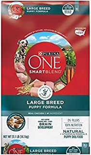 Purina ONE Large Breed Puppy Food, SmartBlend Natural Puppy Food Formula - 31.1 lb. Bag