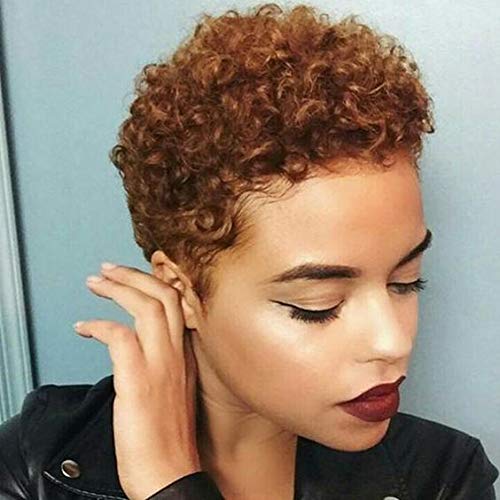 BeiSD Short Afro Kinky Curly Haircuts Short Afro Curly Synthetic Wigs for Black Women African American Women Wigs (YB1091-30#)