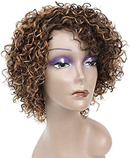 Short Kinky Curly Human Hair Wigs for Black Women HUA P4/27/30 Short Curly Wigs for African American Glueless Human Hair Wigs