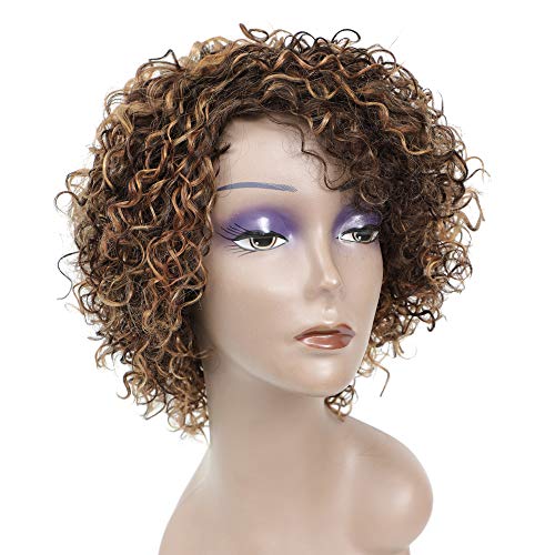 Short Kinky Curly Human Hair Wigs for Black Women HUA P4/27/30 Short Curly Wigs for African American Glueless Human Hair Wigs