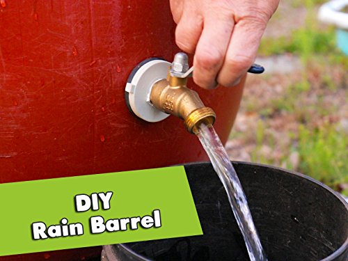How To Make A Rain Barrel: Simple Rainwater Harvesting