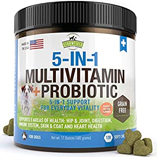 Dog Multivitamin, Glucosamine Chondroitin MSM, Omega 3, Probiotics, Hemp - 120 Grain Free Chews, USA - Dog Vitamins and Supplements for Coat, Skin, Heart, Immune Support, Joint Supplement for Dogs