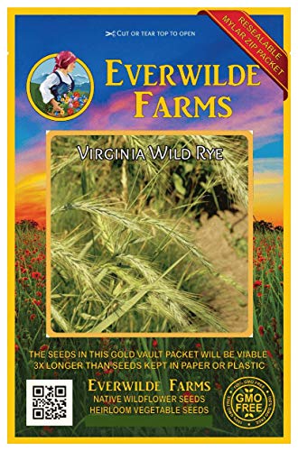 Everwilde Farms - 500 Virginia Wild Rye Native Grass Seeds - Gold Vault Jumbo Seed Packet
