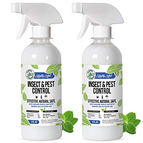 Mighty Mint 8oz Insect and Pest Control Peppermint Oil - Natural Spray for Spiders, Ants, and More - Non-Toxic (2)