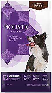 Holistic Select Natural Grain Free Dry Dog Food, Deboned Turkey & Lentils Recipe, 24-Pound Bag