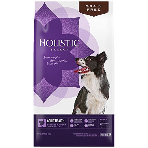 Holistic Select Natural Grain Free Dry Dog Food, Deboned Turkey & Lentils Recipe, 24-Pound Bag