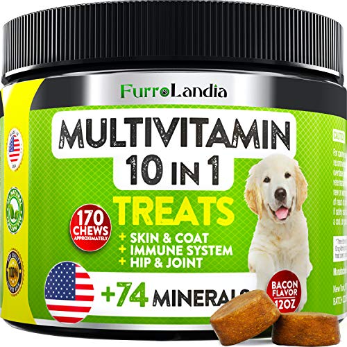 10 In 1 Dog Multivitamin Treats - Essential Dog Vitamins for Hip & Joint Support + Digestion, Skin & Coat, Heart, Immune Health | With Hemp Oil, Kona Berry, Green Lipped Mussel - 170 Soft Chews