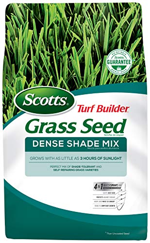 10 Best Grass Seed For Upstate New York