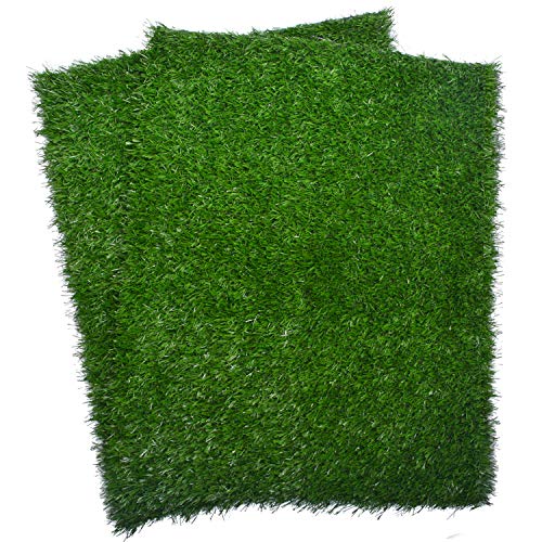 Artificial Dog Grass Pee Pad 20x 25, Indoor Potty Training Replacement Turf for Puppy, Easy to Clean with Strong Permeability, 2-Pack