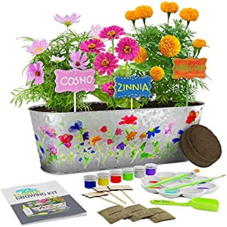 Paint & Plant Flower Growing Kit - Kids Gardening Science Gifts for Girls and Boys Ages 4 5 6 7 8 9 10 11 - STEM Arts & Crafts Project Activity - Grow Your Own Cosmos, Zinnia & Marigold Flowers