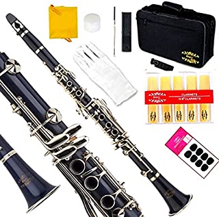 Glory Dark Blue/Silver Keys Bb B Flat Clarinet with Second Barrel, 11reeds,8 Pads cushions,case,carekit -Click to see More Colors