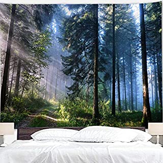 BJYHIYH Misty Forest Tapestry Wall Hanging Nature Landscape Tapestry Sunshine Through Tree Tapestries for Bedroom Living Room Dorm Decor(90.6