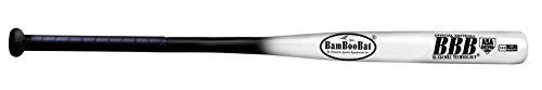 10 Best Asa Softball Bats Under 100